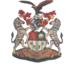 Brook House Youth FC badge